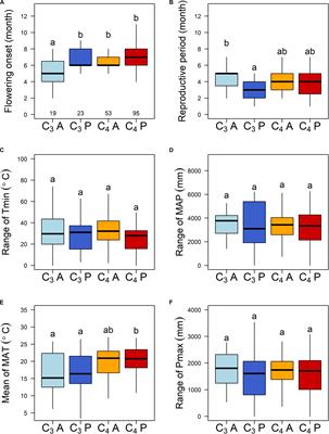 Diversity of Reproductive Phenology Among Subtropical Grasses Is Constrained by Evolution and Climatic Niche